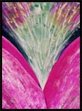 Conscious-Breathing-Meditation Conscious-Breathing-Meditation